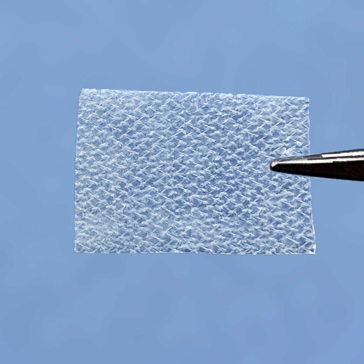 EyeGraft Small 1x2cm